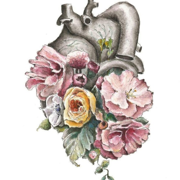 Meet your Posher, Zoyla - Picture 1 of 1